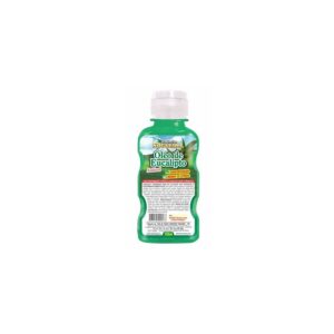 Essência Nogueira Eucalipto 125ml